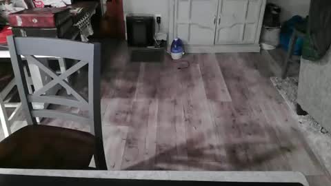 Snapshot of meganfitzy chatting on 26, 2, 2025 GlamTransGoddess online show from 26, 2, 2025