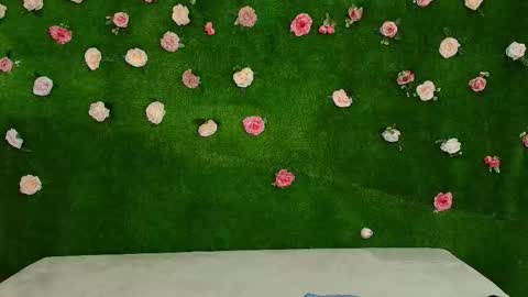 megatitts_ online show from 3, 2, 2026