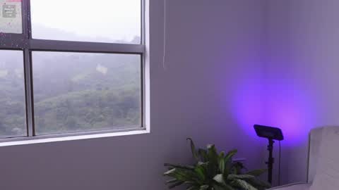 meiis3 online show from 9, 1, 2025