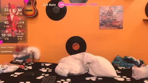 MEIS online show from 19, 1, 2026