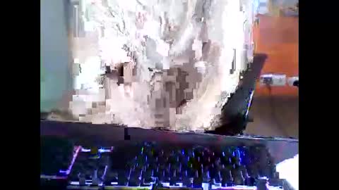 meks5544 online show from 12, 4, 2026