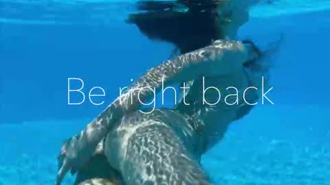 Snapshot of melanybunny chatting on 15, 9, 2025 Adel online show from 15, 9, 2025