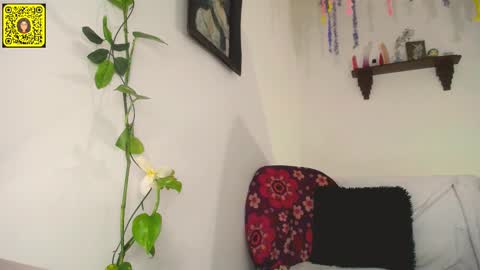 melissa online show from 11, 2, 2025