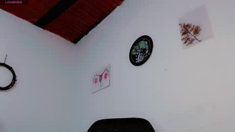 Snapshot of melissa_and_carol chatting on 21, 1, 2025 Carol - Dany online show from 21, 1, 2025