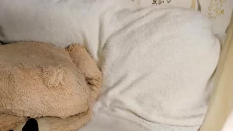 MelMooon online show from 11, 3, 2026