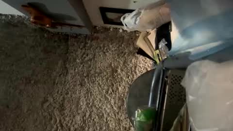 melodysnow online show from 8, 1, 2026