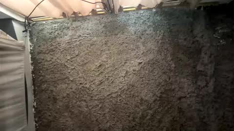 melodysnow online show from 15, 1, 2026