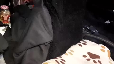 Giorggio Fragacci online show from 24, 1, 2025