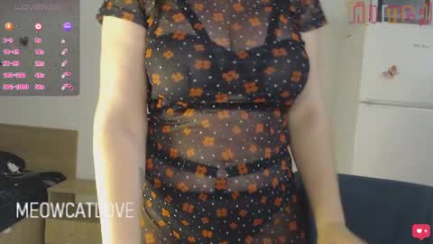 meowcatlove online show from 9, 12, 2024