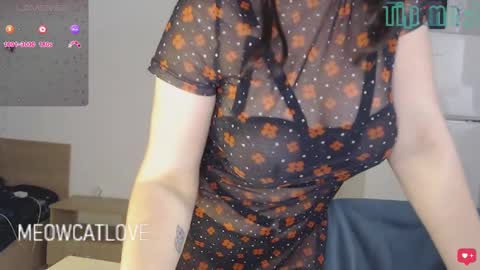 meowcatlove online show from 24, 12, 2024