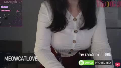 meowcatlove online show from 20, 1, 2025