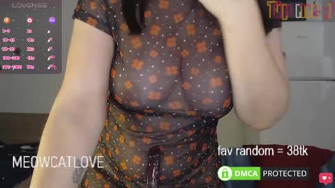 meowcatlove online show from 21, 1, 2025