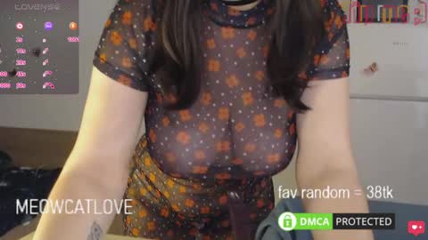 meowcatlove online show from 23, 1, 2025