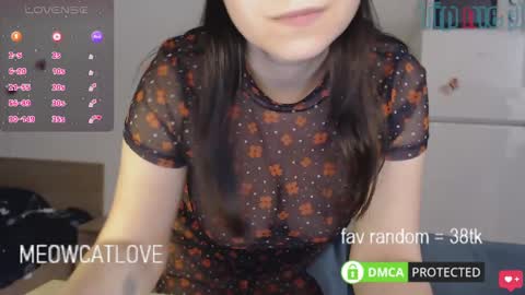 meowcatlove online show from 26, 1, 2025