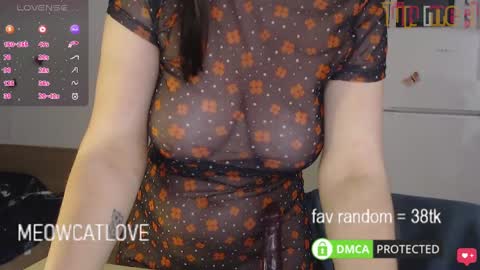 meowcatlove online show from 26, 1, 2025