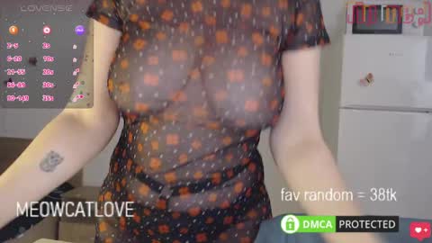 meowcatlove online show from 27, 1, 2025