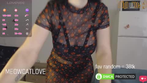 meowcatlove online show from 29, 1, 2025