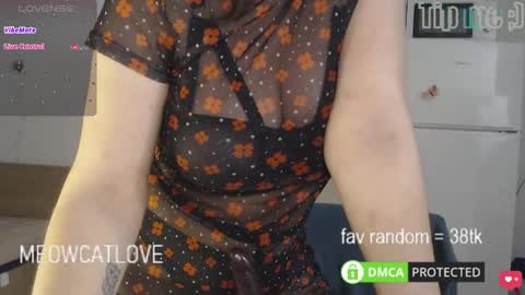 meowcatlove online show from 4, 3, 2025