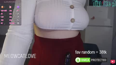 meowcatlove online show from 8, 3, 2025