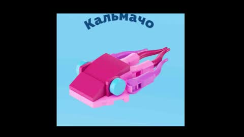 meowcr online show from 16, 12, 2025