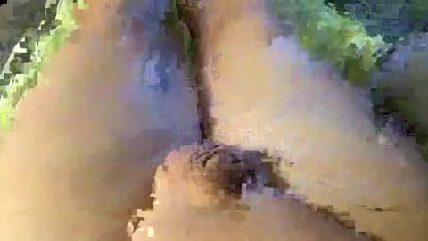 Wade online show from 8, 1, 2025