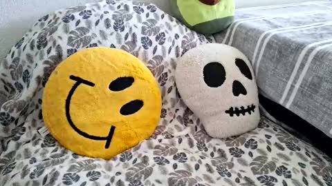 mexidaddycan online show from 17, 12, 2025