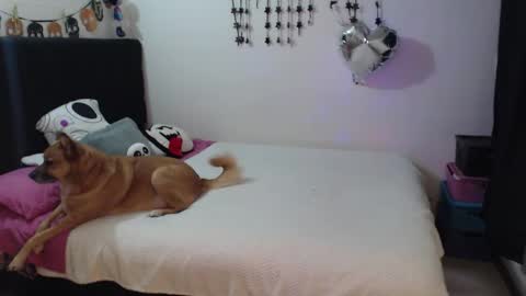 mia online show from 3, 2, 2026