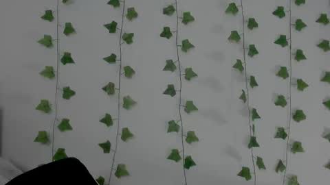 MIA online show from 11, 2, 2026