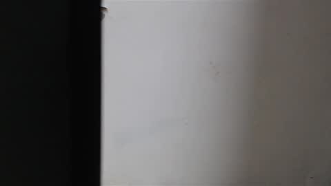 Snapshot of mia_sepulveda chatting on 22, 1, 2025 Mia Sepulveda online show from 22, 1, 2025