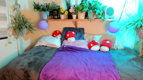 Miaa online show from 10, 3, 2026