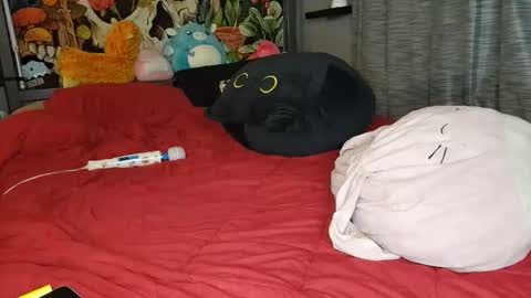 Mia Love online show from 10, 1, 2025