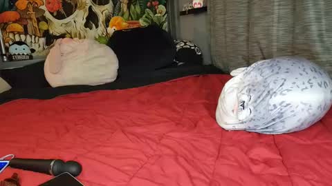 Mia Love online show from 8, 2, 2025