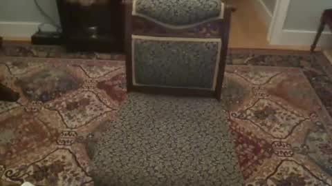 miamiwrestler online show from 22, 12, 2025