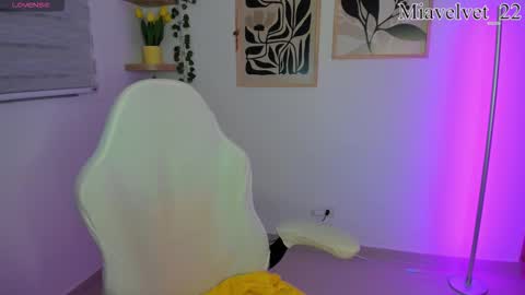 Snapshot of miavelvet_22 chatting on 17, 2, 2026 Mia Velvet online show from 17, 2, 2026