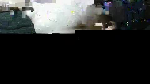 michaelspice online show from 14, 9, 2025