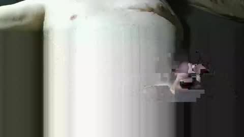 michaelspice online show from 21, 12, 2025