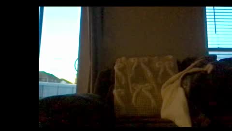 michaelt483 online show from 21, 2, 2026