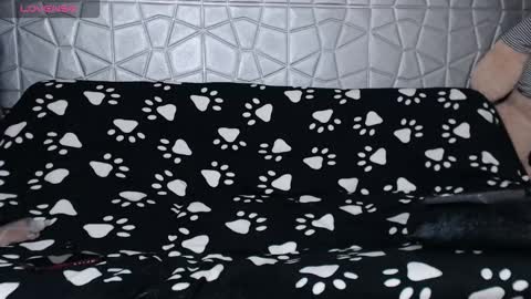 Snapshot of michele_mr chatting on 16, 1, 2026 michele_mr online show from 16, 1, 2026