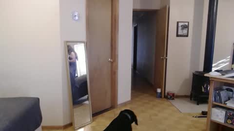 Michelle online show from 13, 2, 2025