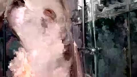 mickavis1975 online show from 1, 1, 2025