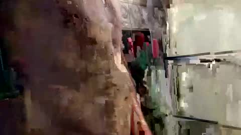 mickavis1975 online show from 12, 1, 2025