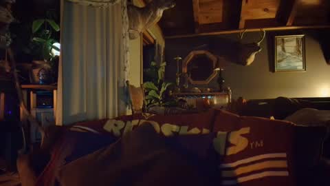 Hey Mickey online show from 18, 12, 2024