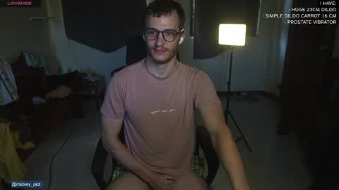 Snapshot of mickey_pict chatting on 14, 12, 2024 Mickey online show from 14, 12, 2024