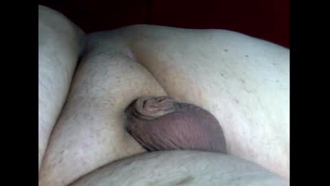 micropimmel online show from 18, 12, 2024