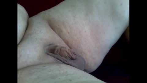 micropimmel online show from 2, 11, 2025