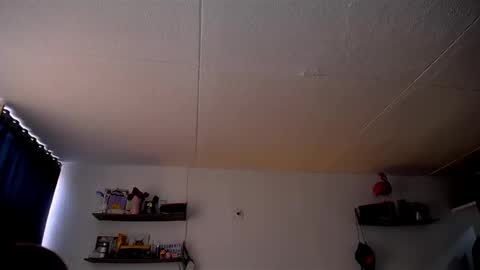 Pola  INDEPENDENT MODEL online show from 3, 3, 2025