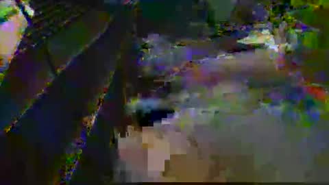 midtownhustler online show from 25, 3, 2026