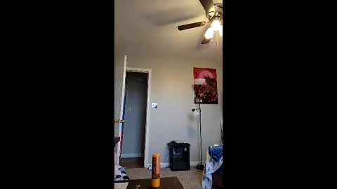 MilkandHoney online show from 25, 2, 2026