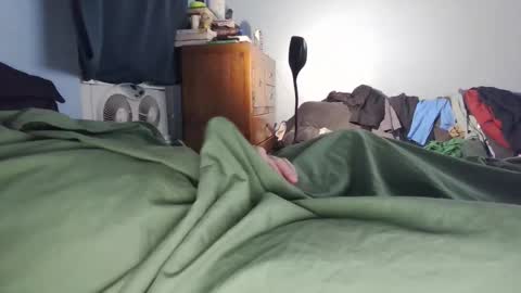 Longfur online show from 27, 4, 2026