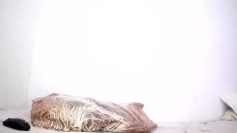 mina smith online show from 24, 3, 2026